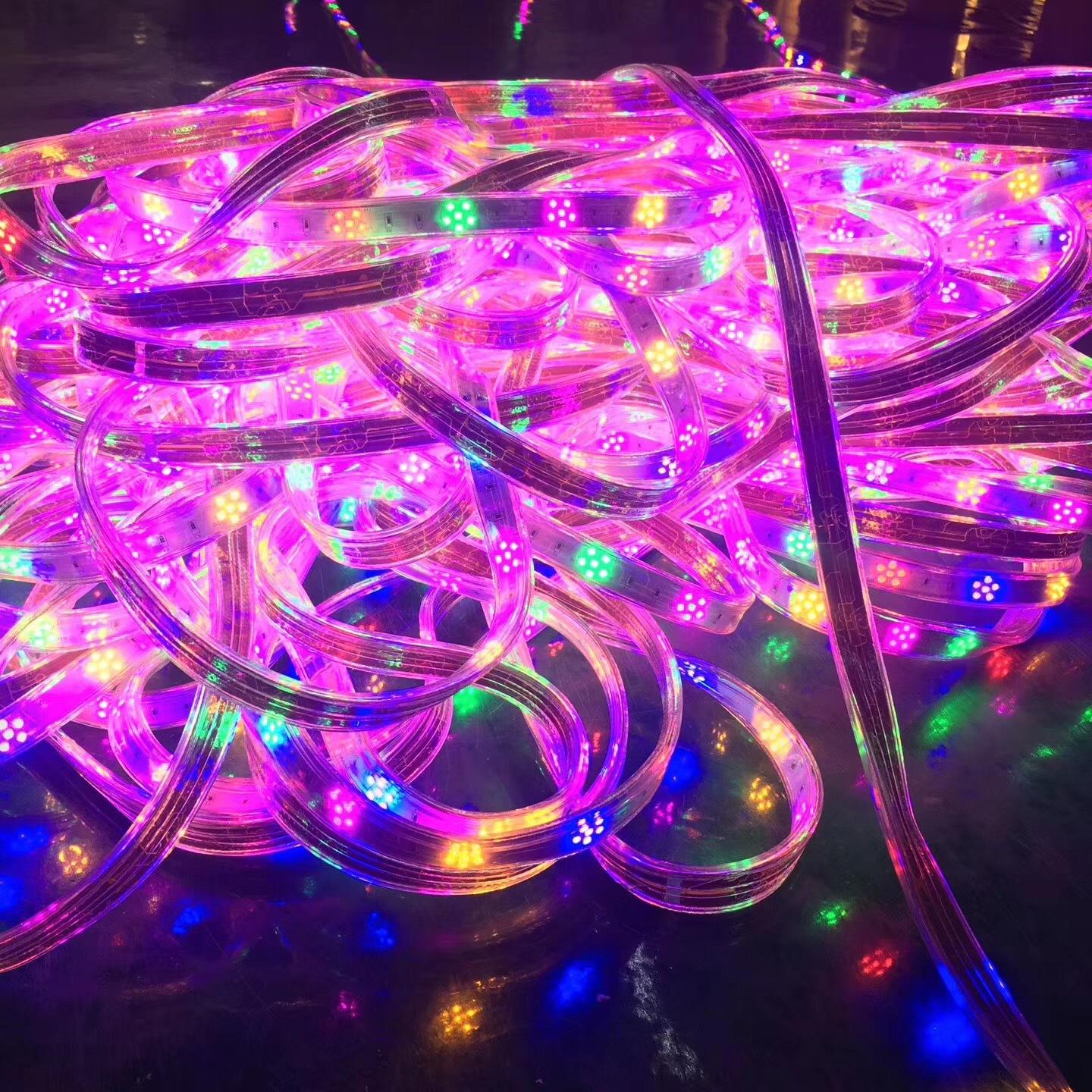 Gmxx040 6Color Led Strip 220V Smd2835 120Leds/M Flexible Tape Light Plum Dance Rgb Led Light Strip