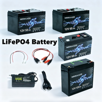 Kit batterie LiFePO4 12V 30 à 120Ah avec chargeur de batterie LiFePO4, pack de batteries LiFePO4 pour stockage solaire domestique, camping-car, marine, camping