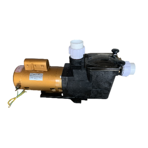 <span class=keywords><strong>Pompe</strong></span> à eau de filtration de <span class=keywords><strong>piscine</strong></span> Daremay SP1503 220V/50Hz/1.5HP de haute qualité - Product Image 1
