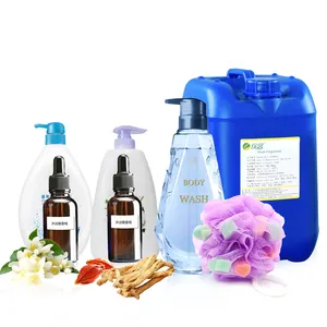 Olio essenziale di profumo di profumo di dio di iso900six olio di fragranza di profumo di marca di fragranza su ordinazione per il lavaggio del corpo dello shampoo