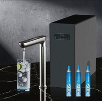 Purificateur d'eau du robinet OLANSI, distributeur d'eau gazeuse et d'eau chaude instantanée sous comptoir pour la maison