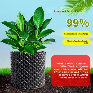Dispositivo Especializado para el Control de Raíces en la Plantación de Árboles - Placa de Contención para Árboles <span class=keywords><strong>Frutales</strong></span> - Drenaje para <span class=keywords><strong>Bonsáis</strong></span> - 600 Gramos - Product Image 3