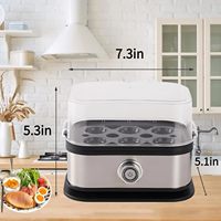 Machine à vapeur multifonctionnelle pour usage domestique, cuiseur à œufs portable en acier inoxydable, mini bouilloire électrique pour la cuisson des œufs au petit-déjeuner