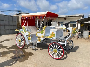 Xuchang EGO 2026, Carroza Eléctrica Personalizada de Alta Calidad, Escultura de Lujo, Transporte Especial para Turismo, Henan - Product Image 6