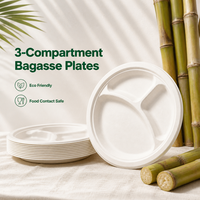 Assiette jetable en bagasse de 10 pouces sans plastique, compartimentée, pour la préparation des repas, les cantines scolaires et la restauration