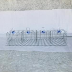 Gallinero Automático para 96 Aves, Equipo Profesional de Cría de Pollos, Jaula para Aves de Corral - Product Image 4