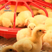 Système d'élevage entièrement automatique pour poulets de chair/volailles/poulets reproducteurs avec contrôle du ventilateur de ventilation