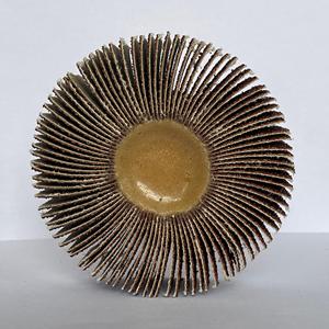 Stock en gros 25*6 tête de meulage <span class=keywords><strong>Dremel</strong></span> Tête de meulage - Product Image 3