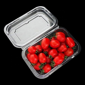 Hình chữ nhật rõ ràng nhựa bản lề <span class=keywords><strong>container</strong></span> thực phẩm vỏ sò salad trái cây nhựa <span class=keywords><strong>container</strong></span> để đi để bán - Product Image 2