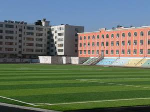 Professionele Sport Voetbalveld Diamant Hard Kunstgras - Product Image 5