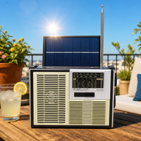 Radio domestique rechargeable certifiée CE, OEM ODM, moule privé, logo personnalisé, style vintage, BT, USB, TF, MP3, lampe de poche, panneau solaire