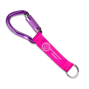 Werbeartikel Verstellbares Schlüsselband mit Individuellem Logo Siebdruck Polyester-Riemen Bunter Karabiner für Fan-Merchandise - Product Image 1