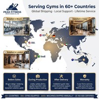 Equipo de Gimnasio Comercial: Máquina Integrada de Crossover con Cables, Montaje en Pared, Carga de Placas, Acero, para Ejercicios de Pecho y Piernas