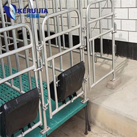 Cagesgalvanized Sow Farrowing Crate Truies Et Porcelets Équipement d'élevage de porcs truies Maisons de mise bas