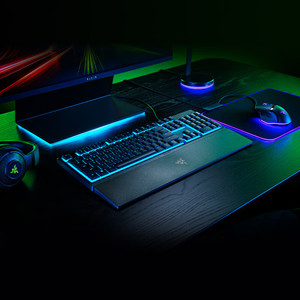<span class=keywords><strong>Razer</strong></span> Rainforest Viper V3 x chơi game Bàn phím 104 Bàn phím màng với RGB màu duy nhất đèn nền và cổ tay phần còn lại - Product Image 1