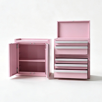 Série d'armoires à outils en fer rose MaoRong OBM, 5 tiroirs, imperméable, revêtement magnétique en poudre, coffre à outils portable de bureau, rangement d'outils