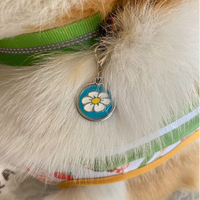 Ustom-collar de epoxi programable NFC para mascotas, etiqueta para mascotas con código QR para perros y gatos