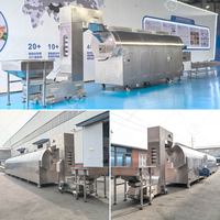 Machine de torréfaction industrielle commerciale à petite échelle pour arachides, pois chiches et autres noix, à vendre