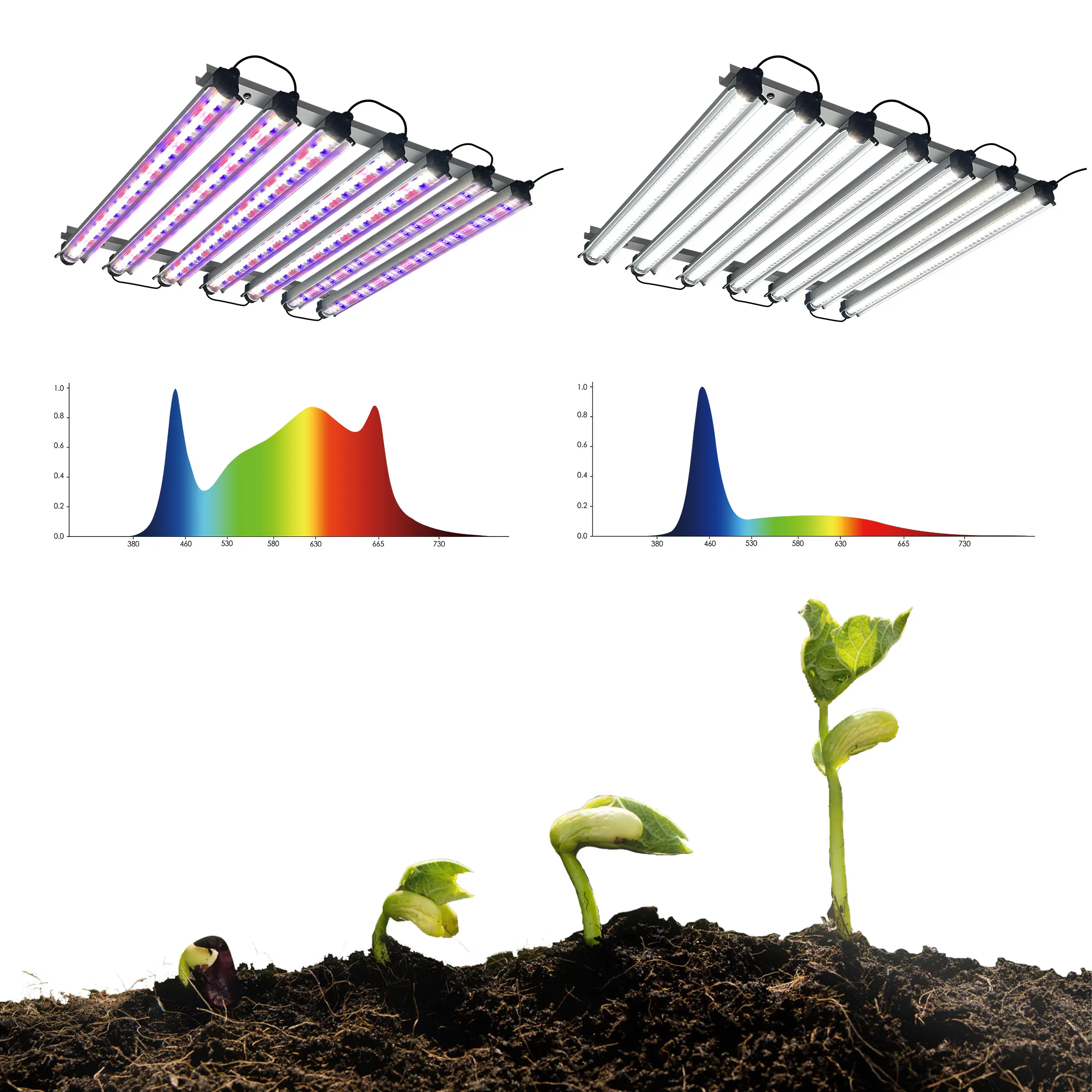 Redfarm Led Bars for Vegetative Growing for Clone Dragon Fruit Led Grow Light 60w Led Bulb for Dragon Fruit Farming