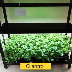 Plantes d'intérieur, kit de démarrage de semis pour la cuisine, jardinage intelligent en intérieur, mini-jardin, kit de culture avec lumières à spectre complet, hauteur réglable, mobile - Product Image 3