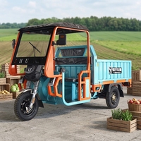 Tricycle électrique de transport lourd 60V avec auvent, tricycle électrique à 3 roues pour adulte
