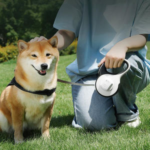 Guinzaglio retrattile retrattile per animali domestici 5m guinzaglio in Nylon LED guinzaglio per cani con luce e sacchetto per cacca - Product Image 3