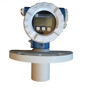 Capteur de niveau ultrasonique antidéflagrant Endress+Hauser E+H FMU42-JVB2C22A de type allemand, précision de 3 mm - Product Image 2