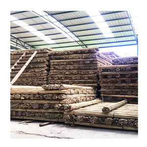 <span class=keywords><strong>2m</strong></span> 18-20mmPiquets de plantes Bâtonnets de <span class=keywords><strong>bambou</strong></span> naturel de jardin pour intérieur et extérieur pour tomates, haricots, plantes <span class=keywords><strong>en</strong></span> <span class=keywords><strong>pot</strong></span> - Product Image 2