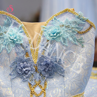 T0276 Costume de Ballet de Performance sur scène, belle au bois dormant, fleur féerique, Tutu professionnel