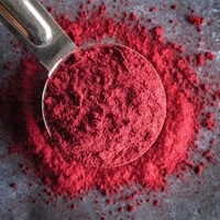 Fabricant d'approvisionnement poudre de betterave rouge séchée par atomisation biologique poudre de betterave biologique pour thé amincissant