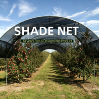 Zware zwarte HDPE schaduwdoekrollen, UV-gestabiliseerd, op maat gemaakte breedte, voor landbouw en boomgaarden.