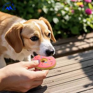 OEM mới đến gà vòng tròn món tráng miệng bánh quy chó gà bánh rán chó Vịt đồ ăn nhẹ chó gà & Vịt bánh rán vật nuôi bánh quy - Product Image 2