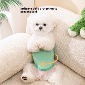 Pantalones de perro educados de estilo clásico, pañal de verano <span class=keywords><strong>para</strong></span> mascotas antiacoso <span class=keywords><strong>para</strong></span> ropa de invierno - Product Image 1