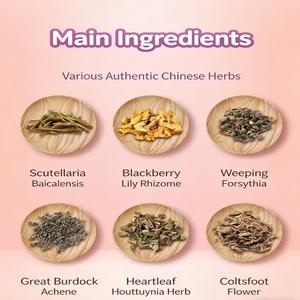 Pädiatrisches Wind-Wärme-Pflaster gegen Husten und Asthma, löst Schleim, beruhigt den Hals, reduziert Fieber, Familien-Gesundheitspflaster - Product Image 2