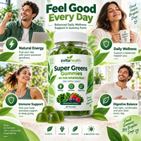 Fournisseur de poudre de super-aliments verts pour la beauté en marque blanche – Probiotiques, enzymes, santé digestive, détox, stimulation immunitaire, certifié GMP
