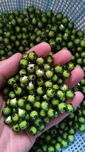 2025 Crystal 100 Pieces Per Bag Factory <strong>Direct</strong> Sell Acrylic Square <strong>Bead</strong> Bulk <strong>Beads</strong> for Jewelry Making - Product Image 6