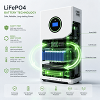 Système de stockage d'énergie intelligent LiFePO4 IP54 en stock UE, 51,2 V 300 Ah 15 kWh, pack de batteries solaires pour solution d'alimentation de secours domestique