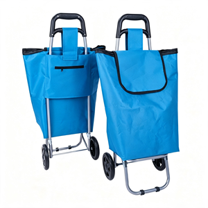 <b>Folding</b> Shopping <b>Cart</b> with Removable Oxford Cloth Bag, Lightweight Grocery Trolley with 2 Wheels for Groceries - Product Image 1