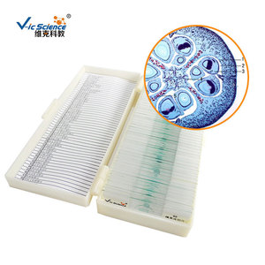 [Source Manufacturer] Cotton Ovary Cross Section Biological Tissue - Plant Flowers and Flower Growth - For <b>Microscopic</b> Use - Product Image 3