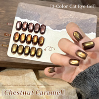 Vernis à ongles gel UV magnétique effet œil de chat, longue tenue, 10 ml, usage professionnel, avec logo personnalisé, couleur caramel châtaigne