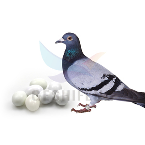 <span class=keywords><strong>Oeufs</strong></span> de pigeon en plastique oeuf solide - Product Image 6