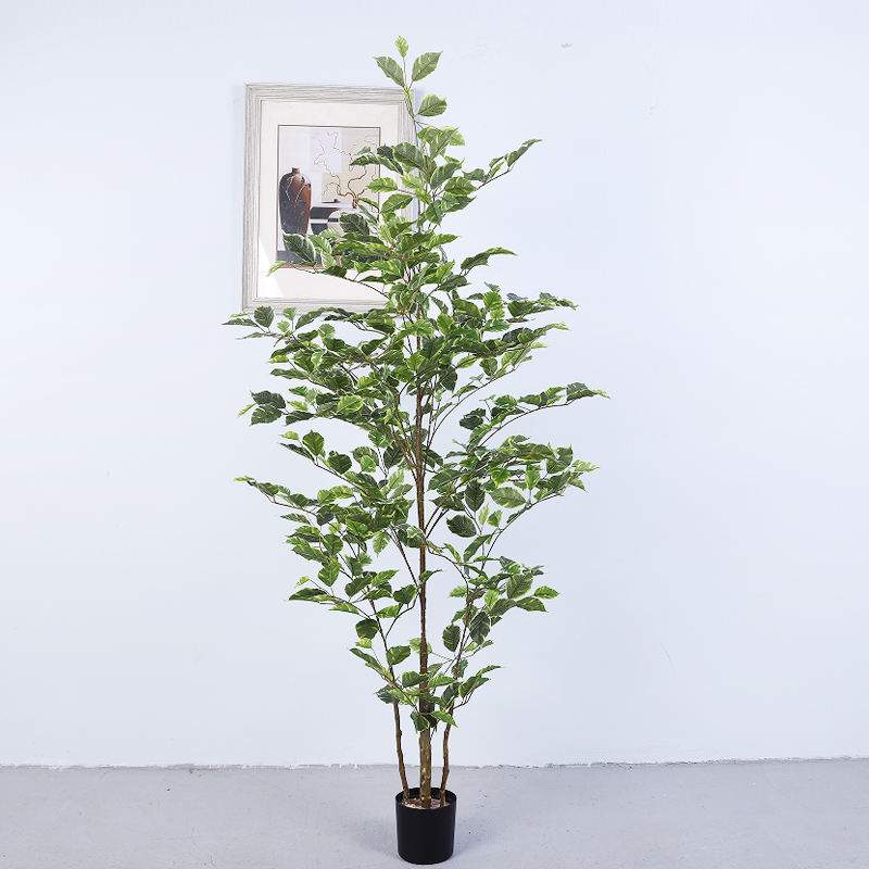 150ซม.-เขียวขาว