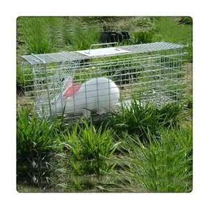 Easy Using to Catch Wild Animal Trap Cage for Wolf - China Trap Cage and  Cage Trap price