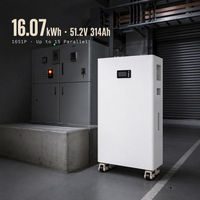 Batterie de rack de serveur 16,07 kWh pour stockage de ferme solaire, 51,2 V 314 Ah LiFePO4, compatible chargement en conteneur