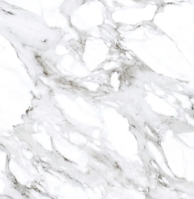 Decoração de banheiro de granito de Carrara de mármore altamente popular e processável com cor brilhante