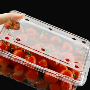 Çilek karpuz meyve salata sandviç Hamburger bebek maması temizle kapaklı gıda sınıfı PET çevre dostu özelleştirilebilir - Product Image 5