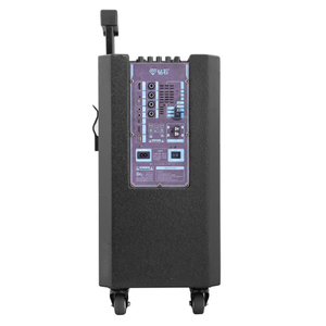 Altoparlante Portatile con <span class=keywords><strong>Ruote</strong></span> da 8 Pollici, Funzione Karaoke, Ingresso <span class=keywords><strong>per</strong></span> Chitarra e Lunga Durata di Riproduzione, Consegna Rapida - Product Image 3