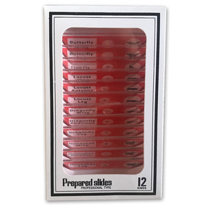 Kính Hiển Vi Cho Trẻ Em, 12 Mẫu Vật Mẫu Hoa Cây Côn Trùng Bằng Nhựa Cho Học Sinh Chương Trình Khoa Học Trẻ Em - Product Image 5