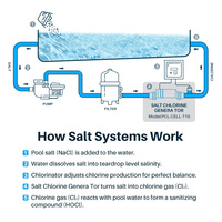 Cellule de chloration pour piscine T-CELL-15 Système au sel 40000 gallons Nouveau T-CELL-15