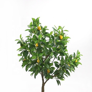 Limonero de plástico para decoración de interiores <span class=keywords><strong>con</strong></span> maceta de plástico - Product Image 4